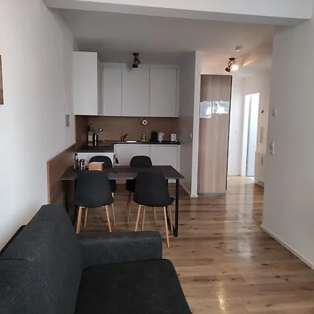 Wilten 5 Apartment